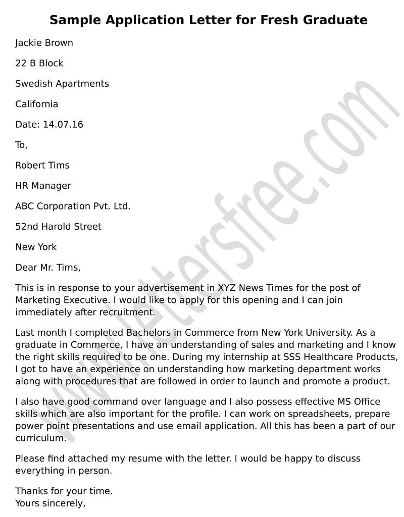 Sample Application Letter Fresh Graduate Example